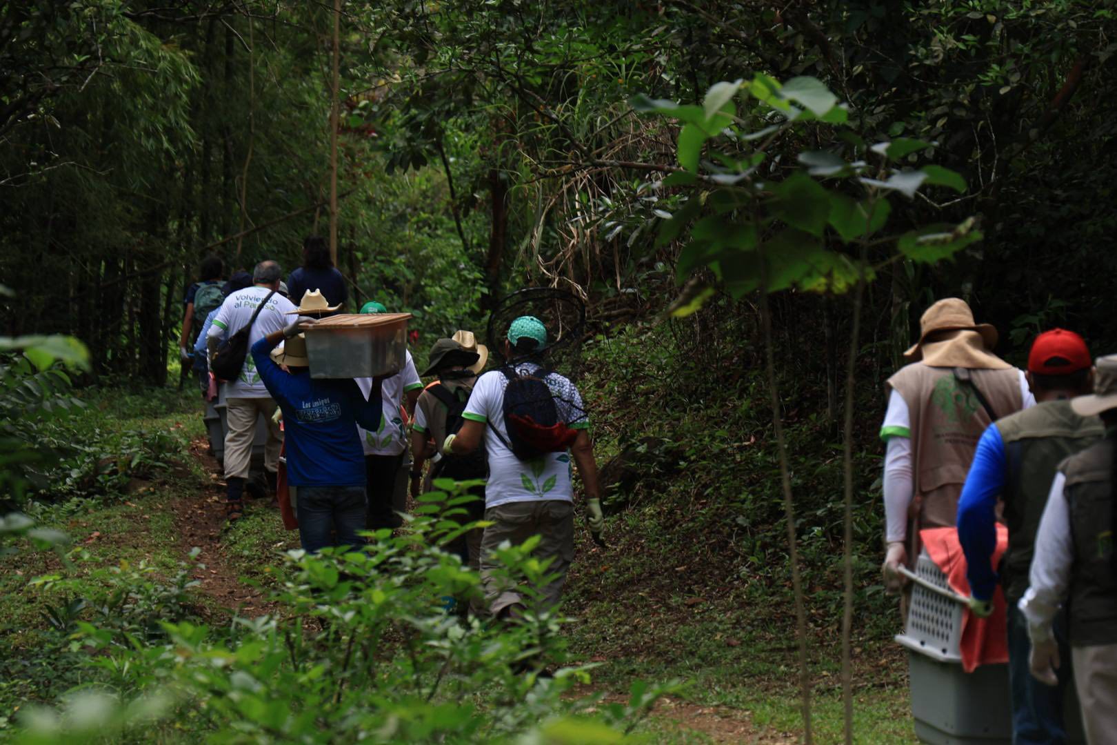 Catemaco sigue siendo referente en la protección de su entorno natural.