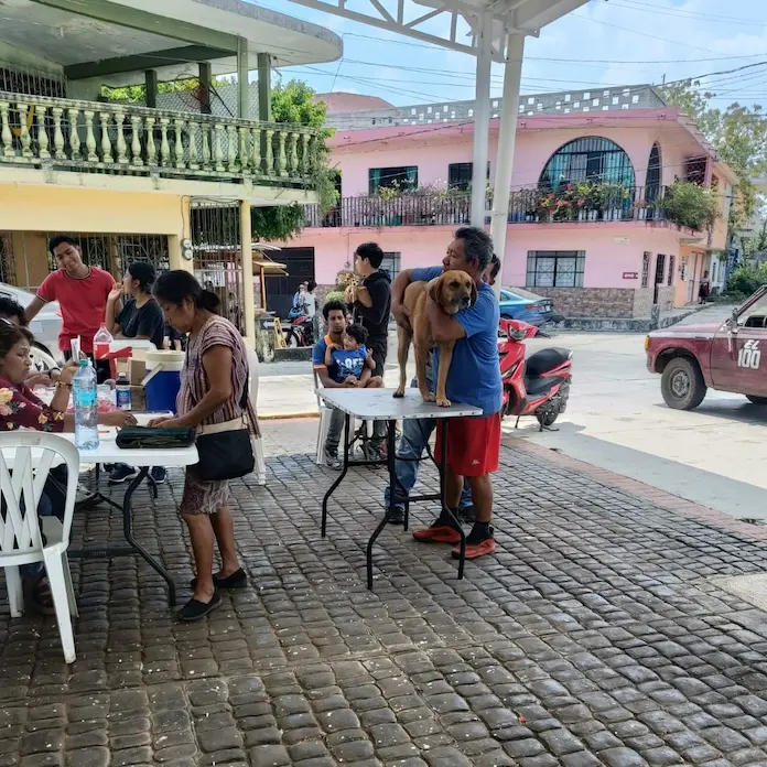 Proteger a nuestros animalitos de compañía también es cuidar la salud de nuestras familias