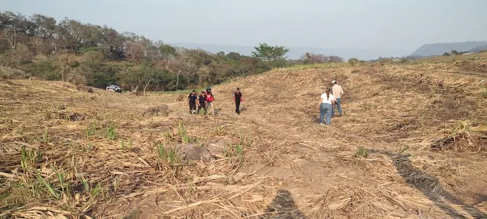 Adulto mayor mu€re tras quedar atrapado en incendio de pastizal en Chiltoyac, Xalapa