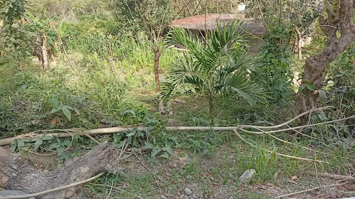 Hallan a hombre sin vida