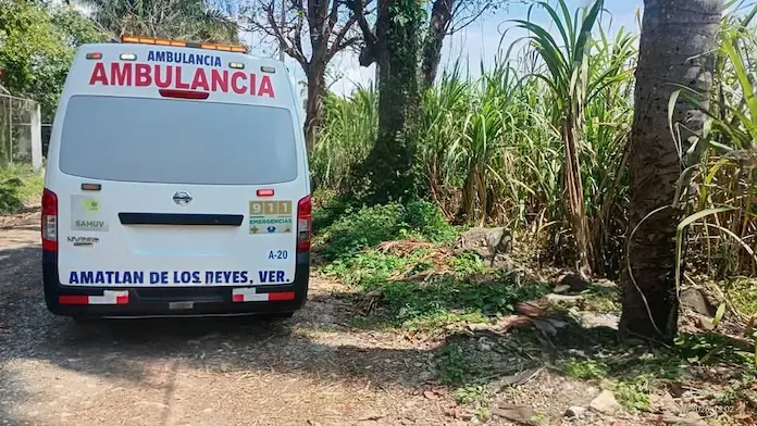 Hallan sin vida a hombre en cañales de Amatlán