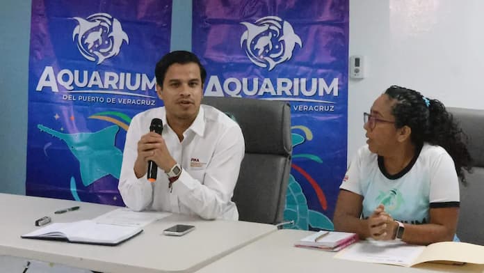 PMA de Veracruz niega fauna muerta por derrame y pide reportar casos en su oficina