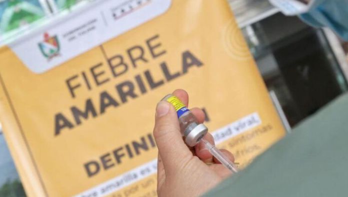 OMS alerta por repunte de fiebre amarilla en América; casos aumentan más de cinco veces