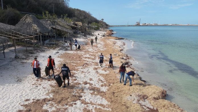 Derrame de petróleo en Veracruz deja más de 700 toneladas de contaminante; así va la limpieza