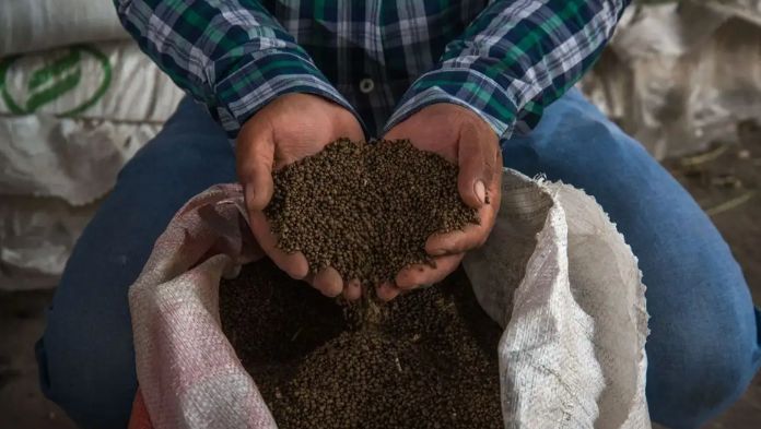 Alza en combustibles y fertilizantes preocupa al BdeM