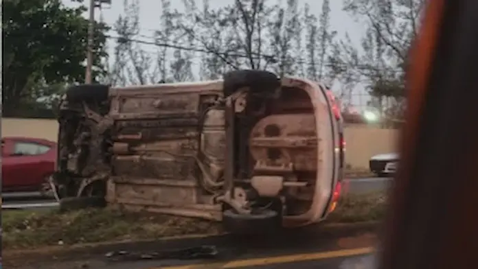 Accidente en carretera Veracruz-Xalapa deja un caballo muerto y volcadura de taxi