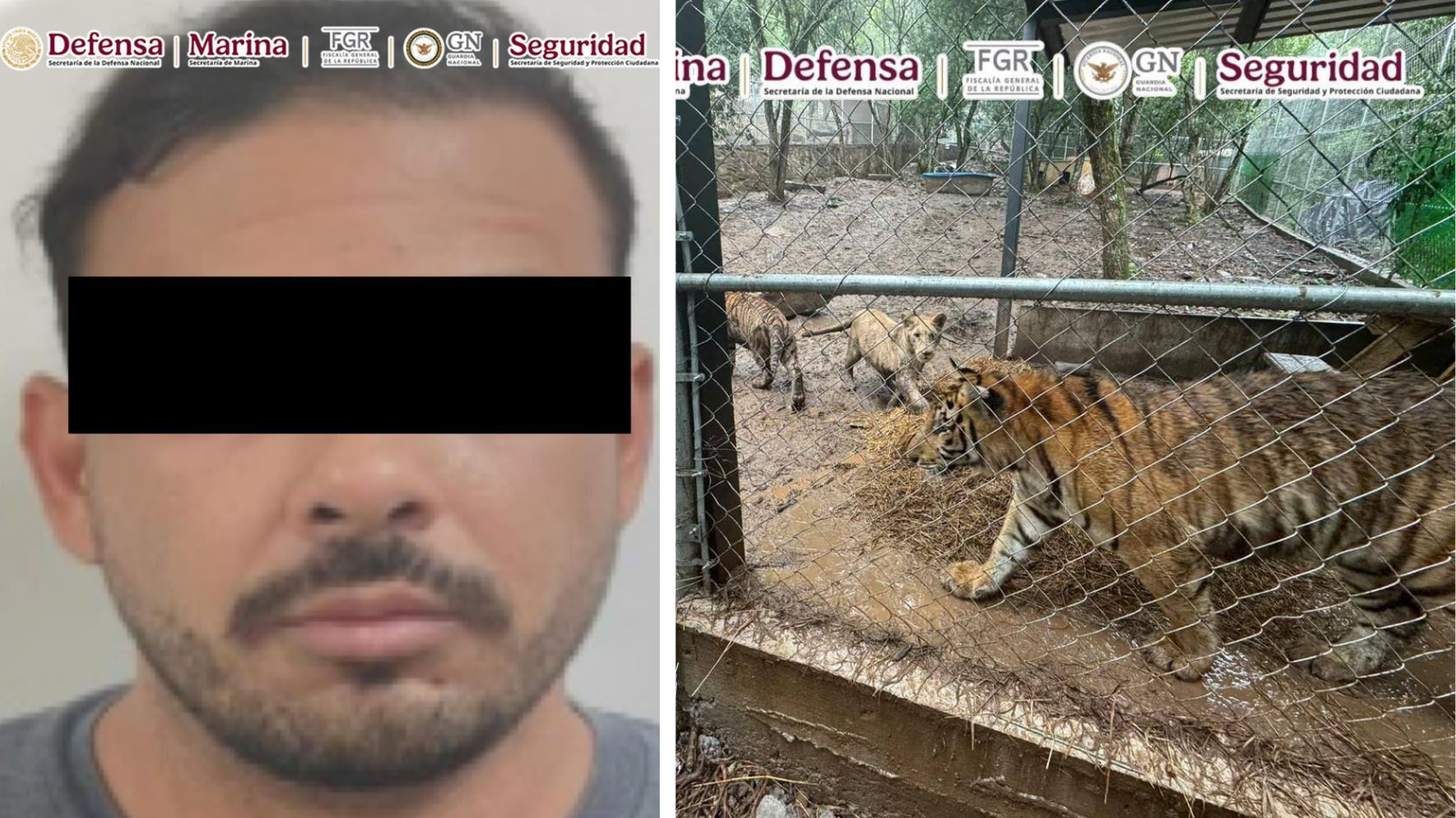 Detienen a líder de una célula afín al Cártel del Noroeste, ligado a huachicol fiscal