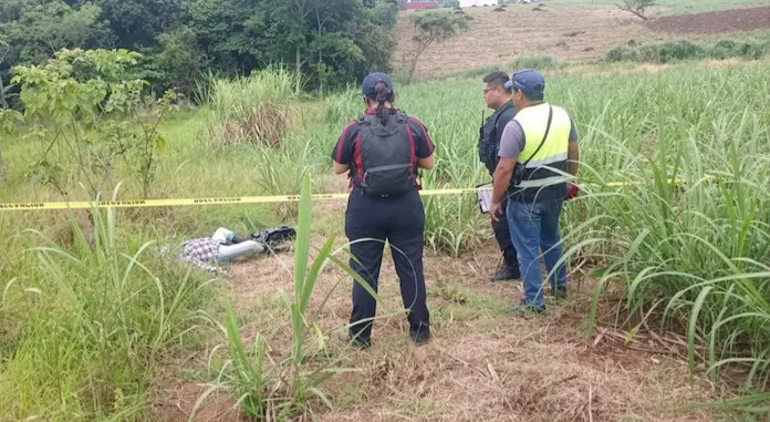 Entre cañales de Amatlán, hallan sin vida a masculino