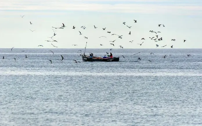 Reportan presuntos restos de hidrocarburo en playas de Vega de Alatorre