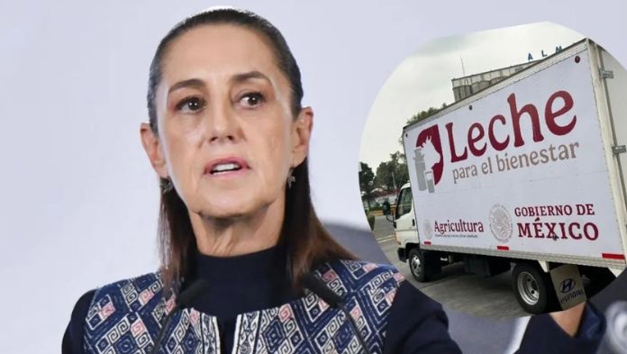 Tras llamado de Sheinbaum, Leche para el Bienestar atiende a productores de Veracruz