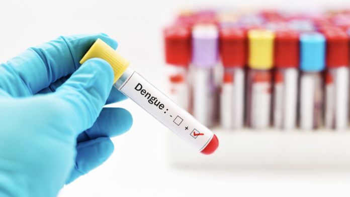 El dengue suma más de 2 mil 500 casos, ¿en qué estados hay más riesgo?