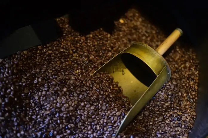 Detectan café guatemalteco en Veracruz; productores acusan ‘dumping’ de precios