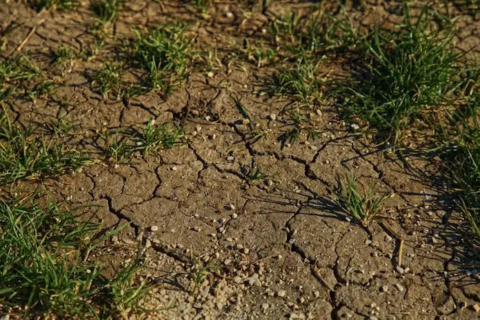Tres municipios muestran señales de alerta por falta de lluvias