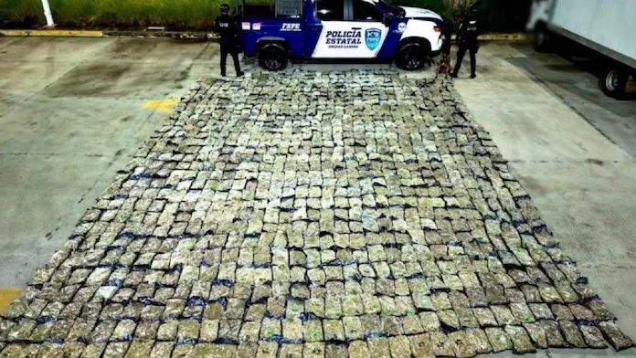 Aseguran más de media tonelada de marihuana en una empresa de paquetería en León, Guanajuato
