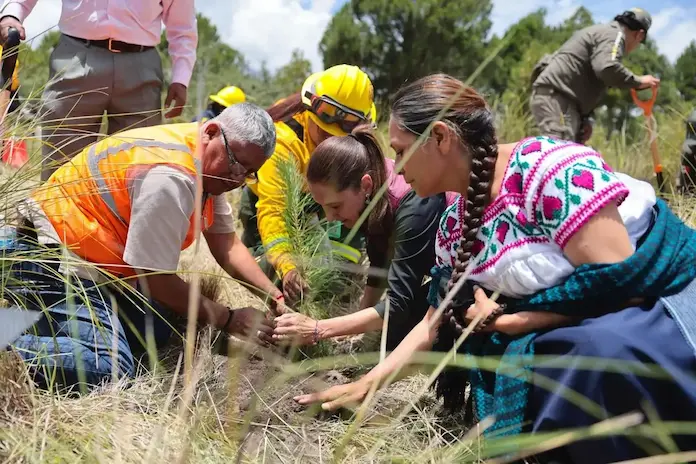 Sheinbaum arranca la Jornada Nacional de Reforestación desde parque Izta – Popo; el objetivo, sembrar 6.6 millones de árboles